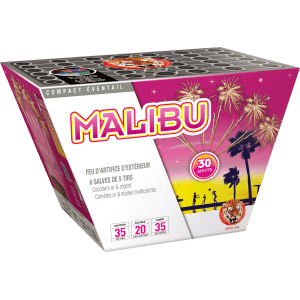 Compact MALIBU – 30 Shots Palmiers et Cocotiers Dorés Argentés - La Boutique De L'artificier