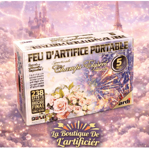 CHAMPS-ÉLYSÉES MARIAGE 5MN MUSICAL - La Boutique De L'artificier