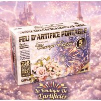 CHAMPS-ÉLYSÉES MARIAGE 5MN MUSICAL - La Boutique De L'artificier