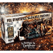 FEU D'ARTIFICE PORTABLE SILENCIEUX 2MN - La Boutique De L'artificier