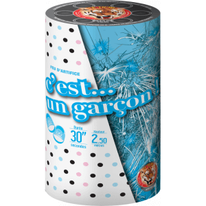 Baby Shower Bleu – Fontaine de Révélation Sexe Bébé Garçon F2 - La Boutique De L'artificier