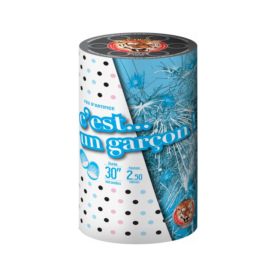 Baby Shower Bleu – Fontaine de Révélation Sexe Bébé Garçon F2 - La Boutique De L'artificier