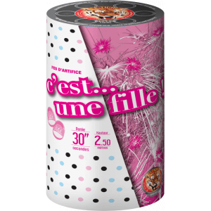 Baby Shower Rose – Fontaine de Révélation Sexe Bébé Fille F2 - La Boutique De L'artificier