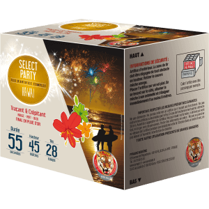 Feu d’artifice Hawaï 28 coups – 55 sec – Batterie compacte effets intenses F2 - La Boutique De L'artificier