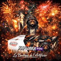 Feu automatique Fire Club Kapwara 200 tirs – Batterie palmiers et kamuro final crépitant F2 - La Boutique De L'artificier