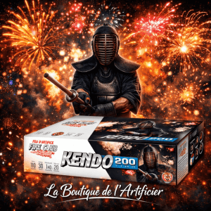 Feu automatique Fire Club Kendo 200 tirs – Batterie éventail kamuro et palmiers argentés F2 - La Boutique De L'artificier