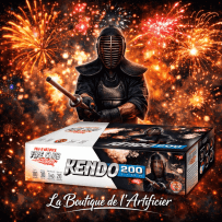 Feu automatique Fire Club Kendo 200 tirs – Batterie éventail kamuro et palmiers argentés F2 - La Boutique De L'artificier